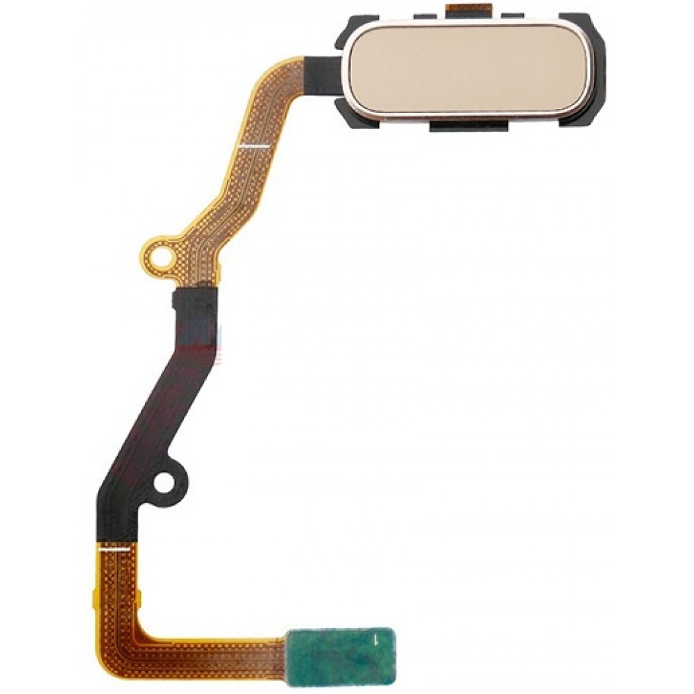 Samsung Galaxy S7 Edge Fingerprint Sensor Flex Cable Gold Cellspare